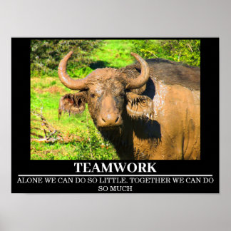 Wildlife Motivatie Posters Buffalo Teamwork