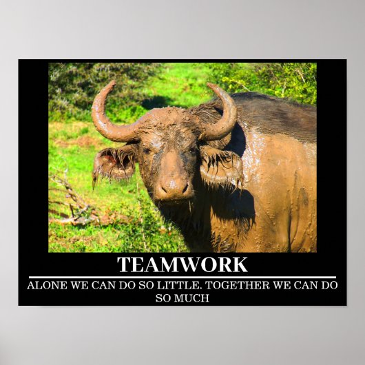 Wildlife Motivatie Posters Buffalo Teamwork (Voorkant)