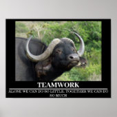 Wildlife Motivatie Posters Buffalo Teamwork (Voorkant)