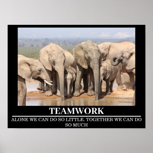 Wildlife Motivatie Posters Olifant Teamwork (Voorkant)