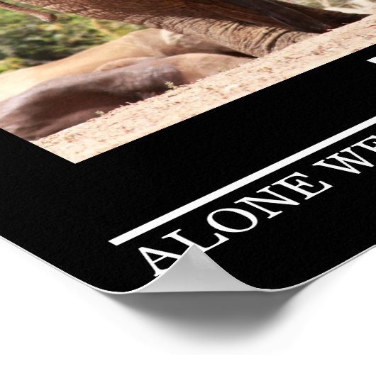 Wildlife Motivatie Posters Olifant Teamwork (Hoek)