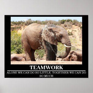 Wildlife Motivatie Posters Olifant Teamwork