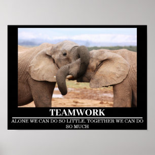 Wildlife Motivatie Posters Olifant Teamwork