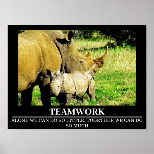 Wildlife Motivatie Posters Rhinos Teamwork (Voorkant)