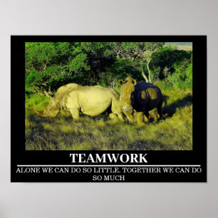 Wildlife Motivatie Posters Rhinos Teamwork