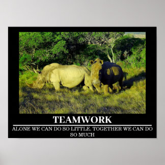 Wildlife Motivatie Posters Rhinos Teamwork