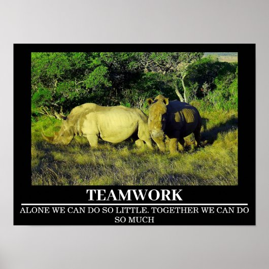 Wildlife Motivatie Posters Rhinos Teamwork (Voorkant)