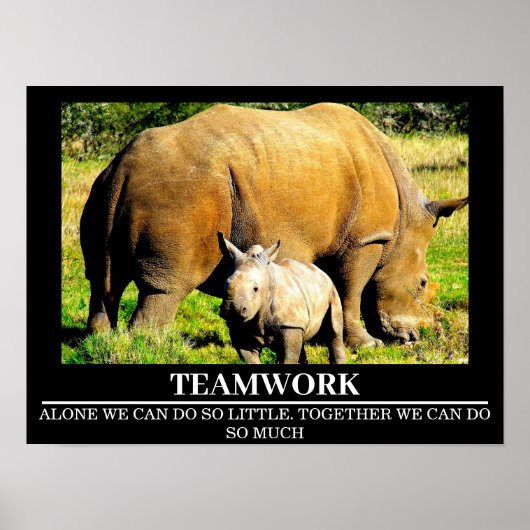 Wildlife Motivatie Posters Rhinos Teamwork (Voorkant)