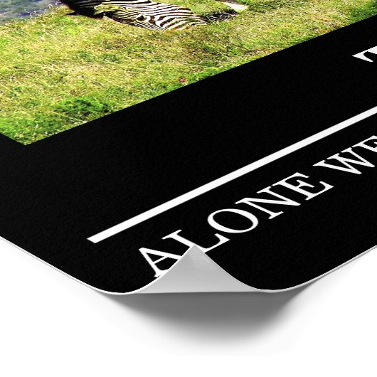 Wildlife Motivatie Posters Zebra Teamwork (Hoek)