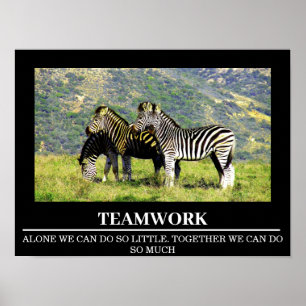 Wildlife Motivatie Posters Zebra Teamwork