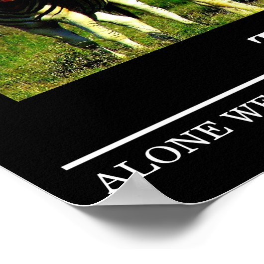 Wildlife Motivatie Posters Zebra Teamwork (Hoek)