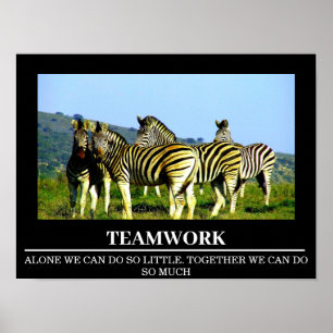 Wildlife Motivatie Posters Zebra Teamwork