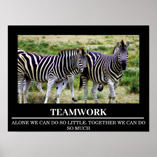 Wildlife Motivatie Posters Zebra Teamwork (Voorkant)