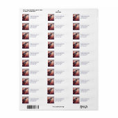 Wildlife Natuur California Quail Bird Etiket (Full Sheet)