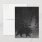Wildlife Night MI Zwart Beer Bovenschiereiland Feestdagenkaart (Voorkant / Achterkant)