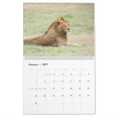 Wildlife of Africa Kalender (Feb 2027)