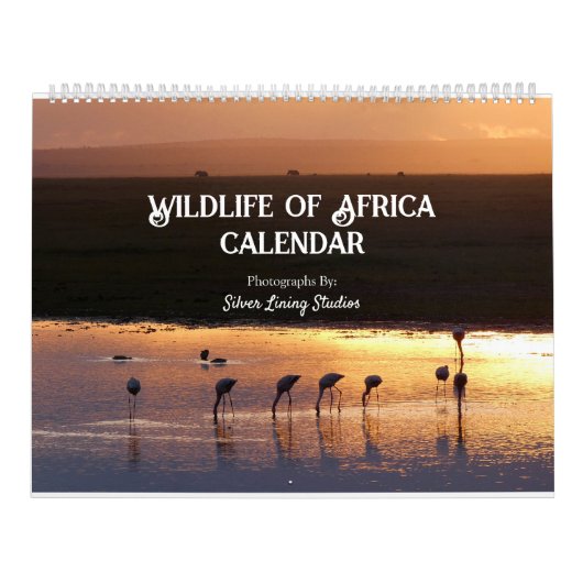 Wildlife of Africa Kalender (Hoes)