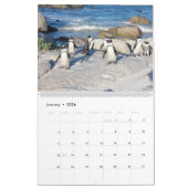 Wildlife of Africa Kalender (Jan 2026)