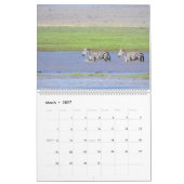 Wildlife of Africa Kalender (Mar 2027)