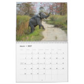 Wildlife of India Calendar Kalender (Mar 2027)