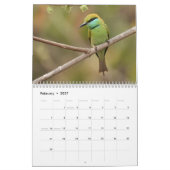 Wildlife of India Calendar Kalender (Feb 2027)