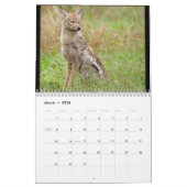 Wildlife of South Africa Calendar Kalender (Mar 2026)