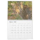 Wildlife of South Africa Calendar Kalender (Feb 2026)