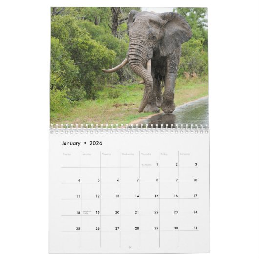 Wildlife of South Africa Calendar Kalender (Jan 2026)