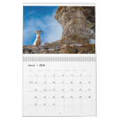 Wildlife of the Tetons kalender (Mar 2026)