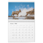Wildlife of the Tetons kalender (Jan 2026)