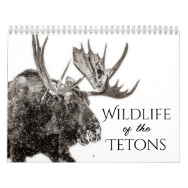 Wildlife of the Tetons kalender