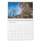 Wildlife of the Tetons kalender (Mar 2027)