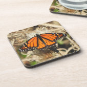 Wildlife onderzetter set, Monarchvlinder, natuur (Linkerzijde)