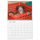 Wildlife Orangutan Babies Kalender (Mar 2026)