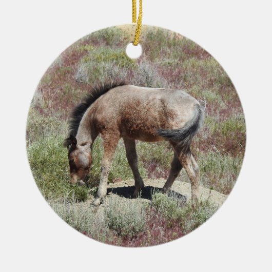 Wildlife ornament, wild paard, wilde dieren, natuu keramisch ornament (Voorkant)