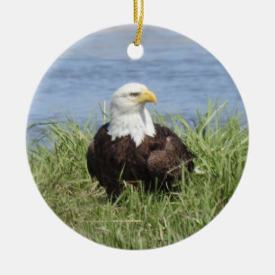 Wildlife ornament, zeearend, natuur, wilde vogels keramisch ornament