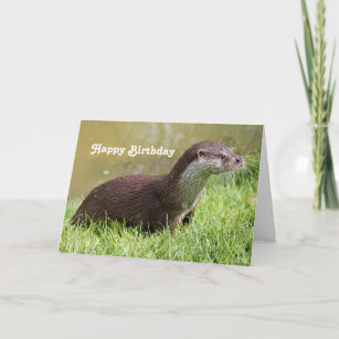 Wildlife Otter Photo Birthday Kaart