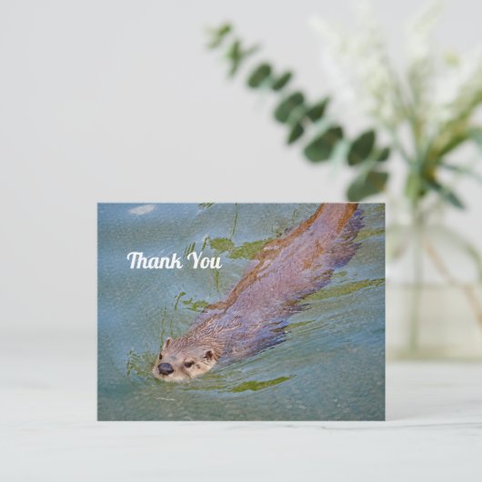 Wildlife Otter Zwemmende Otter Foto Bedankt Briefkaart (Staand voorkant)
