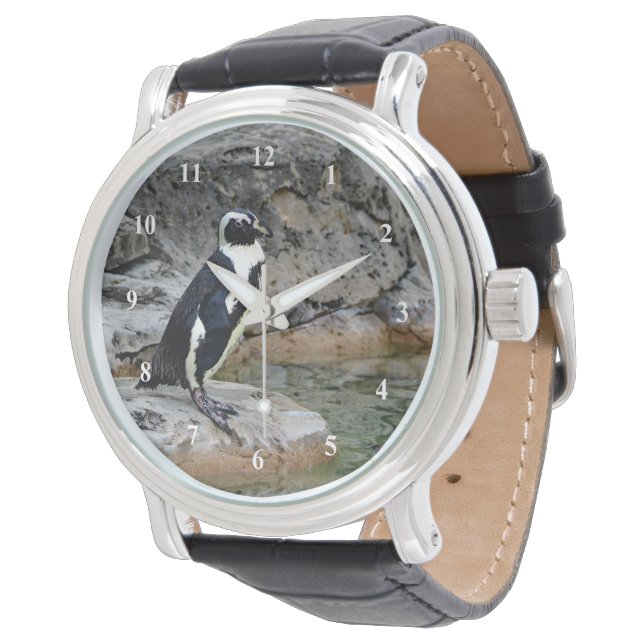 Wildlife Penguin Foto Horloge (Gekanteld)