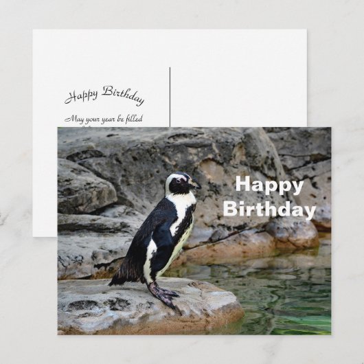 Wildlife Penguin Foto Verjaardag Briefkaart (Voorkant / Achterkant)
