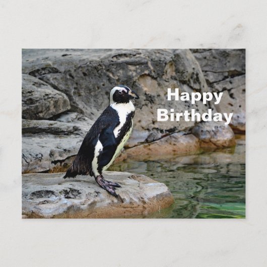 Wildlife Penguin Foto Verjaardag Briefkaart (Voorkant)
