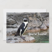 Wildlife Penguin Foto Verjaardag Kaart (Voorkant)