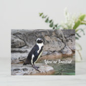 Wildlife Penguin Foto Verjaardag Kaart (Staand voorkant)