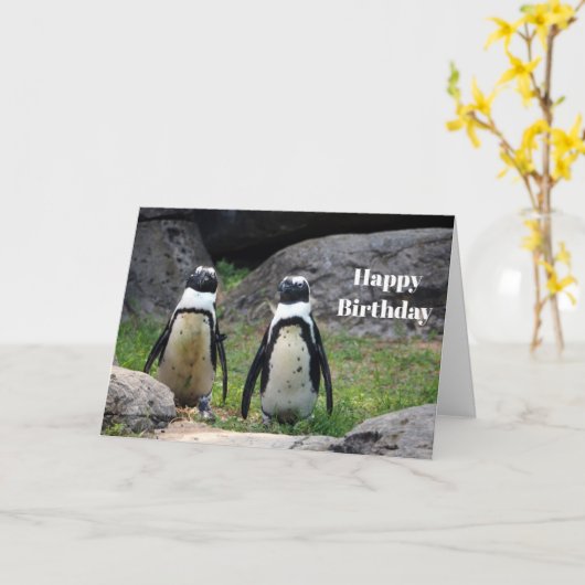 Wildlife Penguin Pair Foto Verjaardag Kaart (Gele Bloem)
