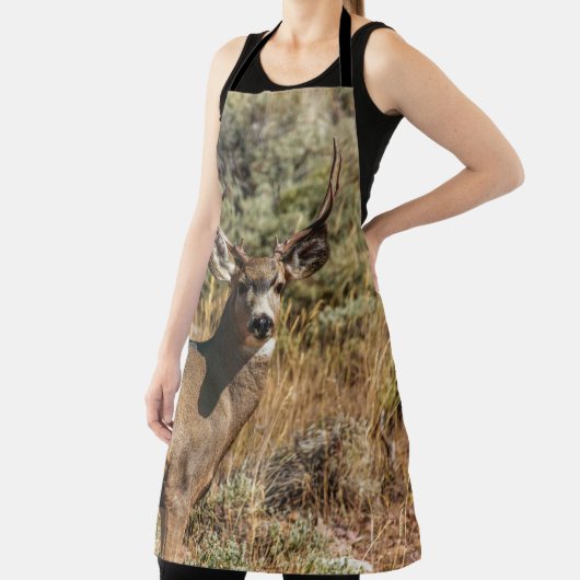 WILDLIFE PHOTOGRAPHY OF BROWN BUCK SCHORT (Insitu)