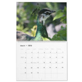 Wildlife Photo's kalender (Mar 2026)