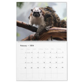Wildlife Photo's kalender (Feb 2026)
