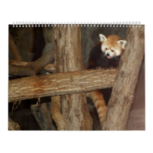 Wildlife Photo's kalender