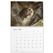 Wildlife Photo's kalender (Jan 2027)