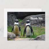 Wildlife Pinguïn Paar Foto Bedankt Briefkaart (Voorkant / Achterkant)